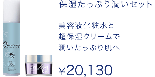保湿たっぷり潤いセット 美容液化粧水と超保湿クリームで潤いたっぷり肌へ ¥20,130